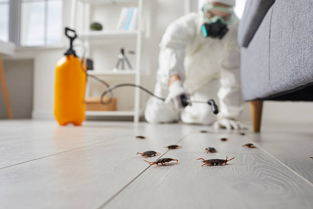 Post-Treatment Bed Bug Interceptor Monitoring in Lawrenceburg