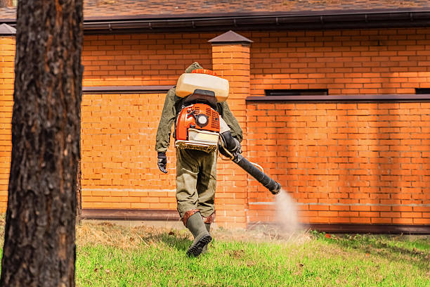 Bed Bug Clearance Verification and Documentation in Lawrenceburg